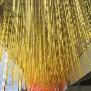 Meet your Posher, Ana